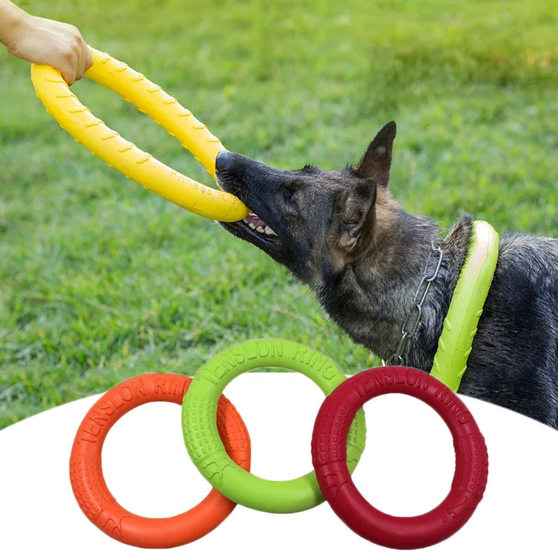 Ring Dog Toy