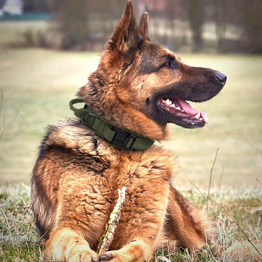 Durable Tactical Dog Collar