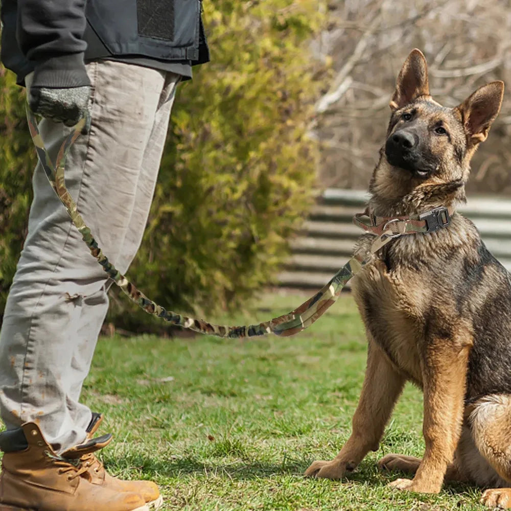 Durable Tactical Dog Collar