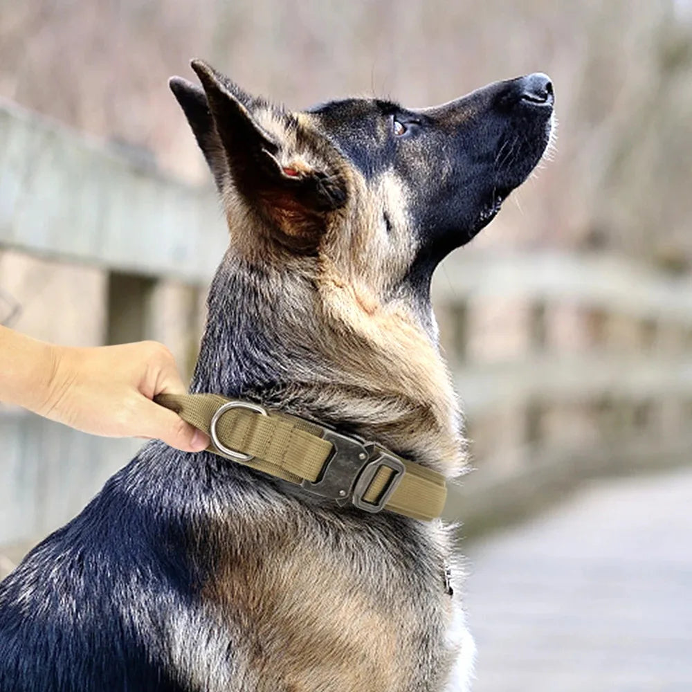 Durable Tactical Dog Collar
