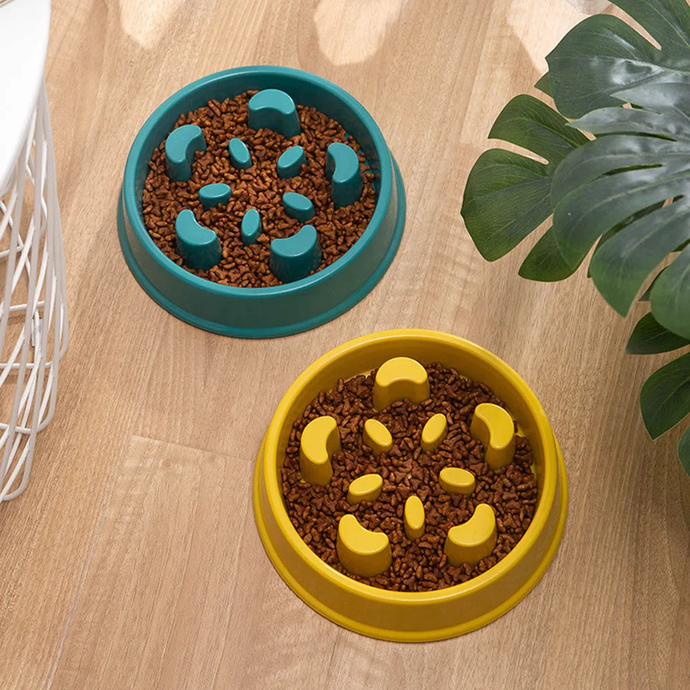 Slow Feeder Bowl