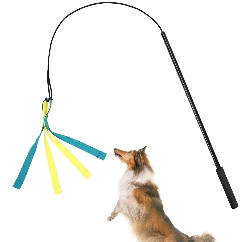 Dog Interactive Flirt Pole Toys Durable Interactive Toy Outdoor Activities Dog Training Toys Pet Supplies Pet Throwing Toy