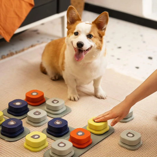Interactive Dog Talking Buttons with Mat – Teach Your Dog to Speak