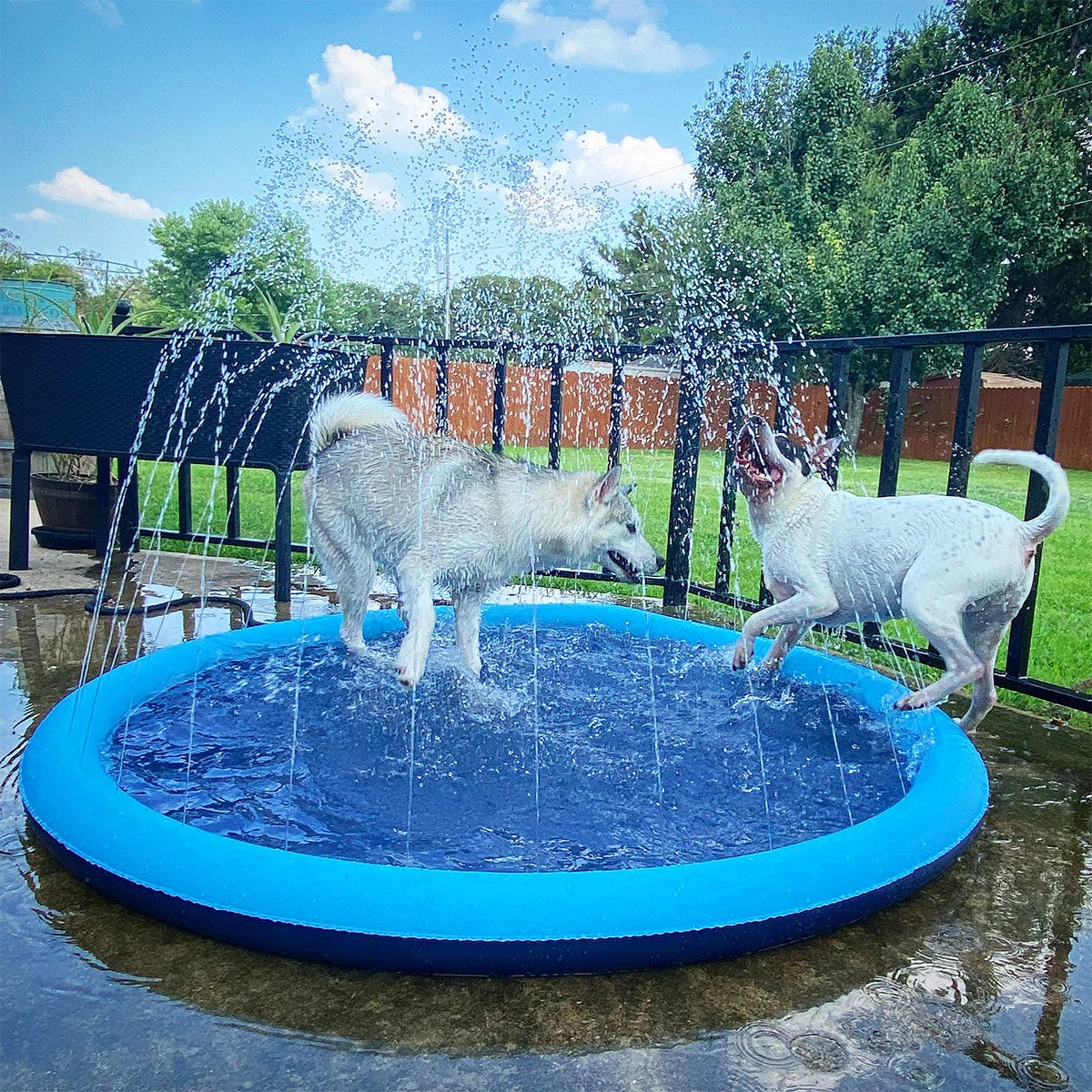 Dog Fountain Play Mat – Summer Splash Pad for Dogs
