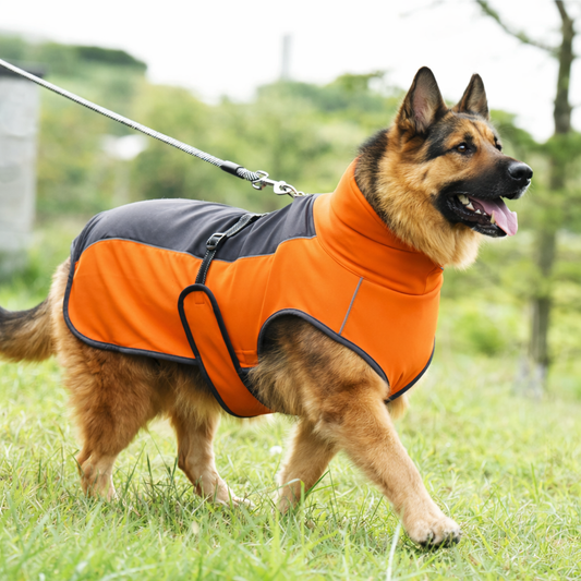 Shepherd’s Choice High-Visibility Dog Jacket | Outdoor Safety Wear