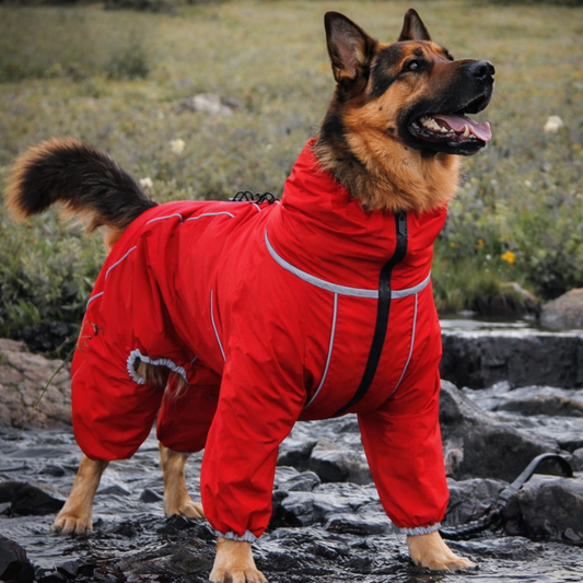 Shepherd’s Choice Windproof Dog Jacket | All-Season Rain & Snow Protection