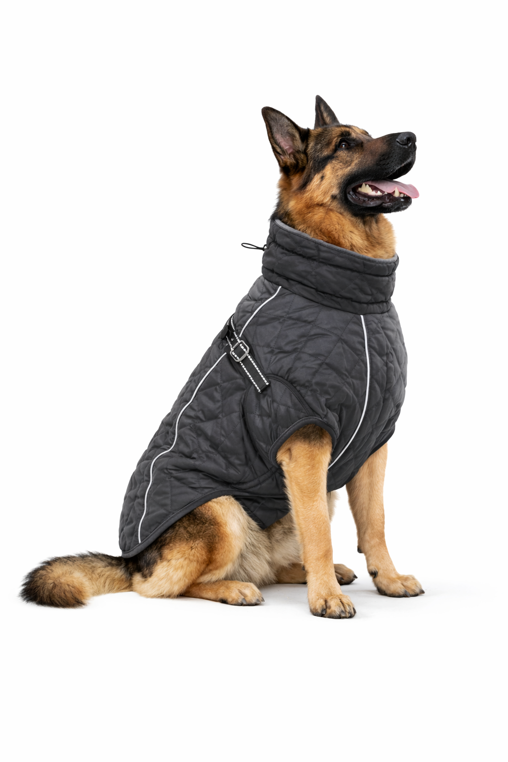Shepherd’s Choice Cozy Winter Pet Jacket | Warm & Comfortable