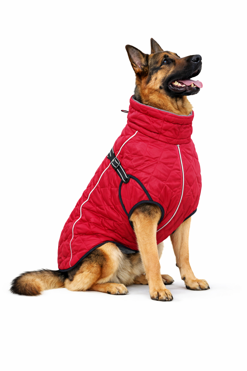 Shepherd’s Choice Cozy Winter Pet Jacket | Warm & Comfortable