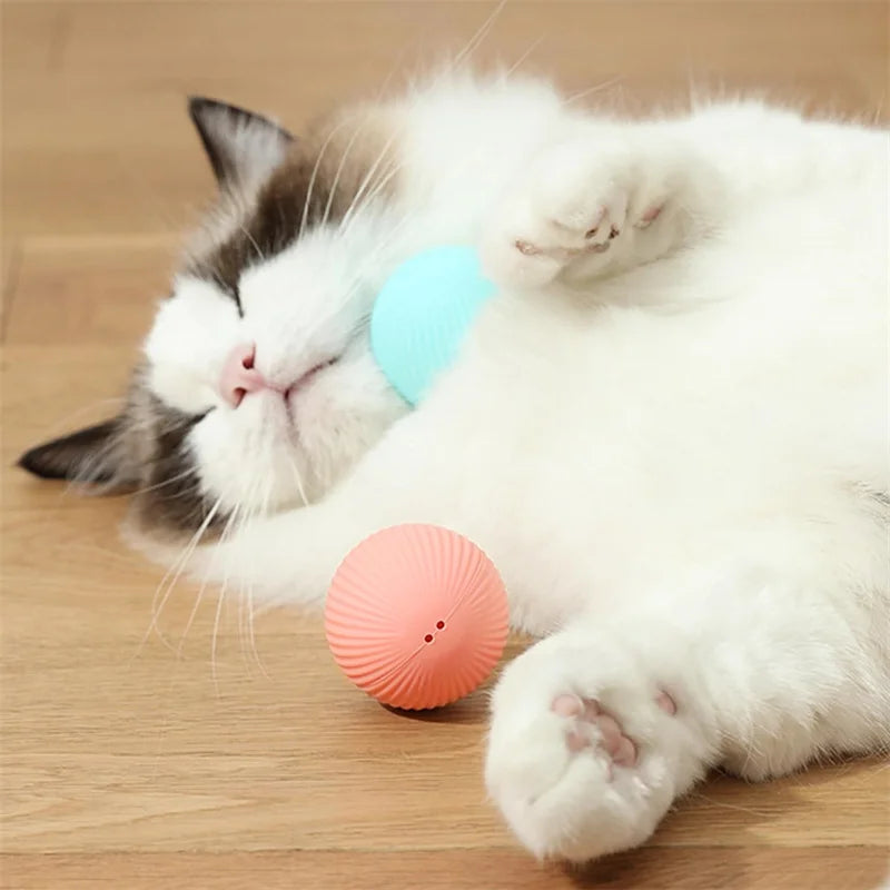 Vibrating Ball Toy