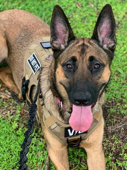 Military Harness