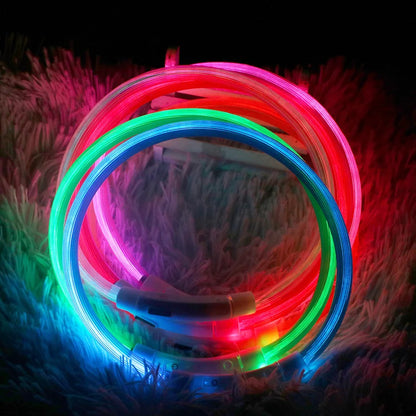 Shepherd’s Choice USB LED Glow Collar