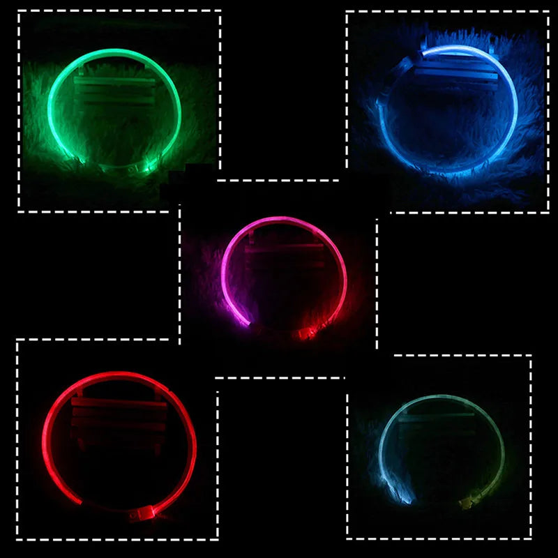 Shepherd’s Choice USB LED Glow Collar