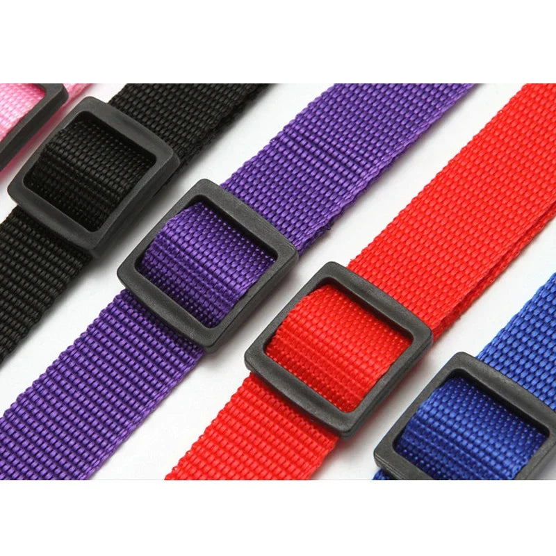 Pet Car Seat Belt