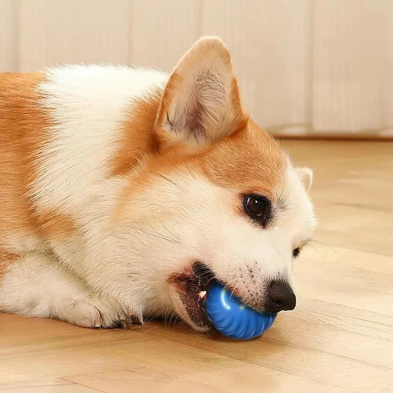 Vibrating Ball Toy