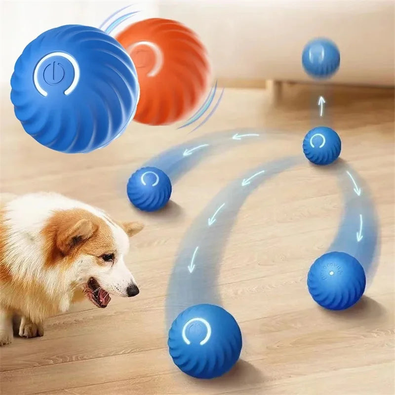 Vibrating Ball Toy