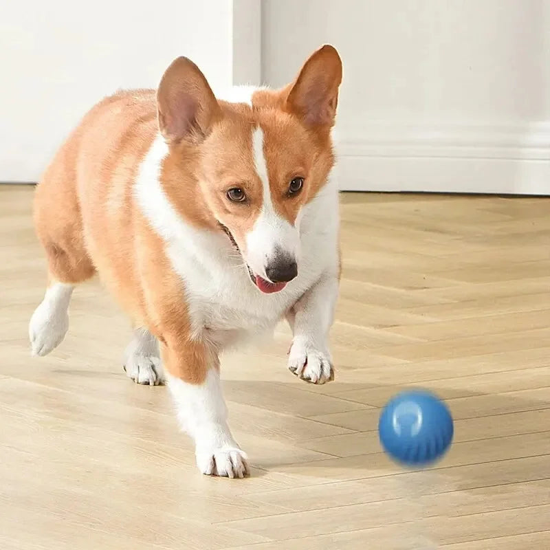 Vibrating Ball Toy