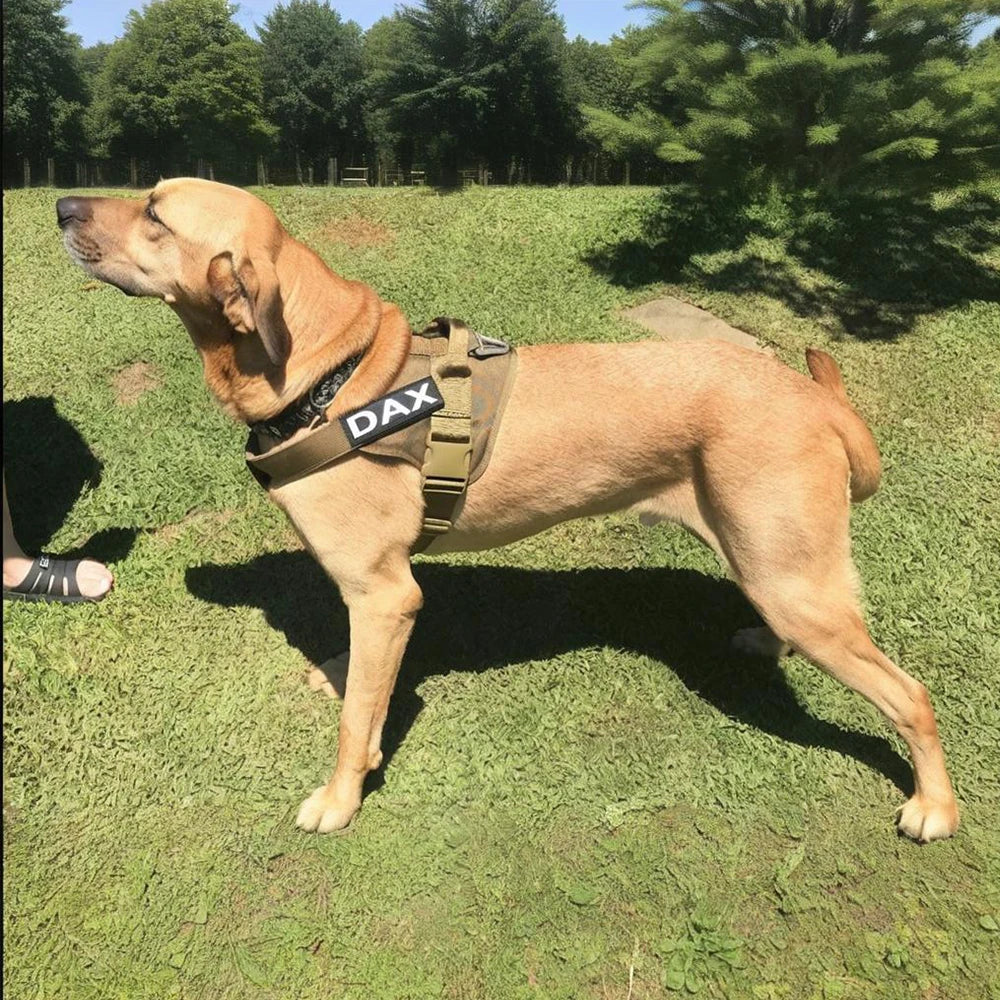 Tactical Dog Harness with Handle – Adjustable Control | Shepherd's Choice