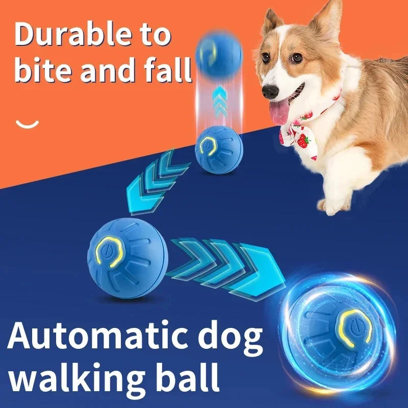 Vibrating Ball Toy