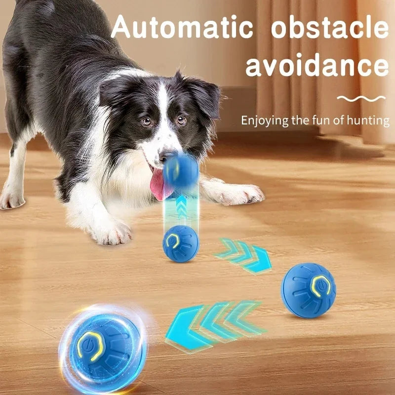 Vibrating Ball Toy