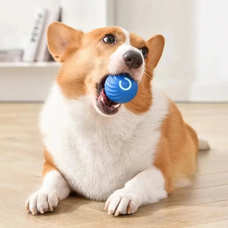 Vibrating Ball Toy