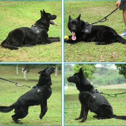 Tactical Dog Harness with Handle – Adjustable Control | Shepherd's Choice