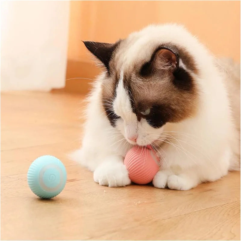 Vibrating Ball Toy