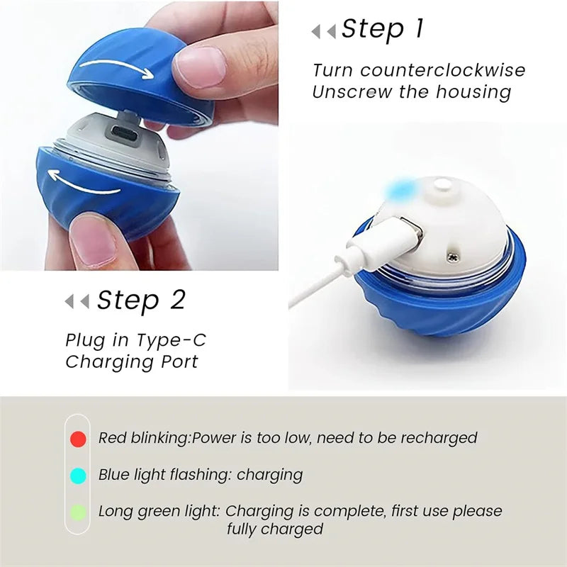 Vibrating Ball Toy