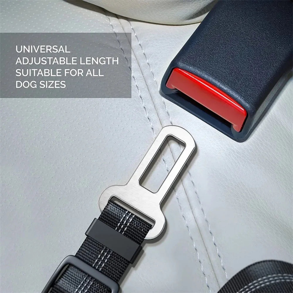 Dual Dog Leash – Adjustable Buckle | Shepherd's Choice