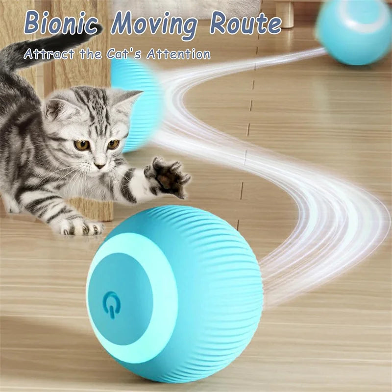 Vibrating Ball Toy