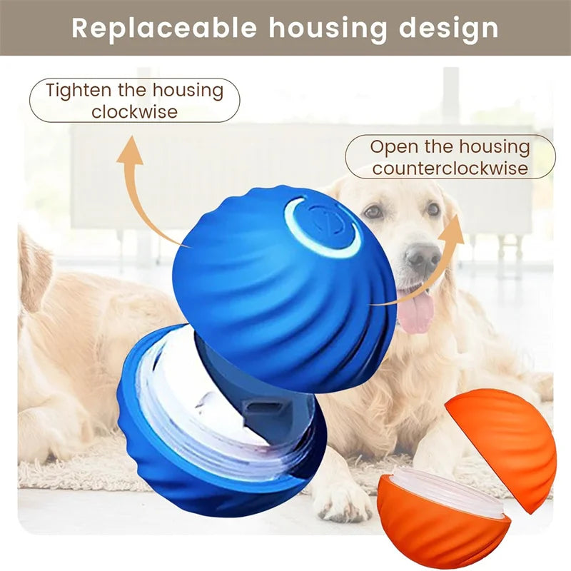 Vibrating Ball Toy