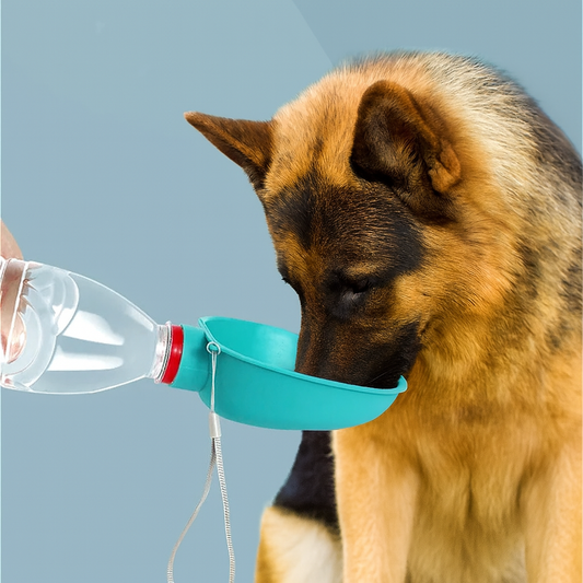 Shepherd’s Choice Portable Dog Water Bottle